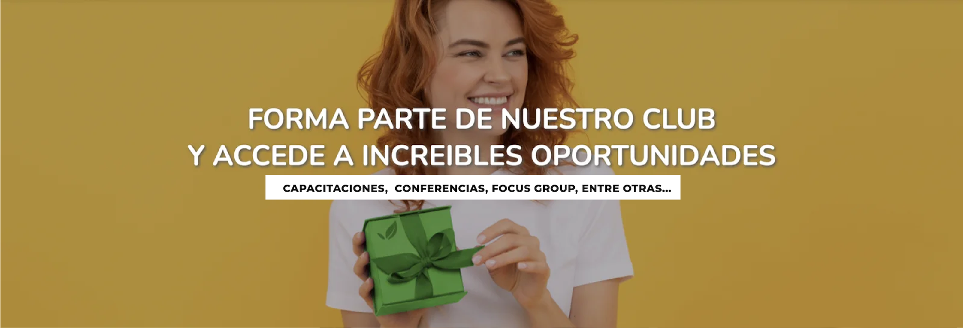 recursos web-17